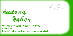 andrea haber business card